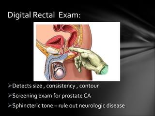 Detects size , consistency , contour Screening exam for prostate CA Sphincteric tone – rule out neurologic disease Digital Rectal  Exam: 
