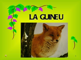 LA GUINEU 