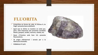 FLUORITA 
• Cristal·litza en forma de cubs, té duresa 4, és 
frágil i presenta bona exfoliació. 
• Igual que la silvina es incolora en estat pur, 
però, amb impureses pot presentar tonalitats 
blaves, groques, verdes, marrons, violeta, etc. 
• Quan s’il·lumina amb llum UV, presenta 
fluorescència. 
• Té origen hidrotermal i serveix per a la 
fabricació d’esmalts. 
• FORMULA CaF2 
 