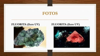 FOTOS 
FLUORITA (llum UV) FLUORITA (llum UV) 
 