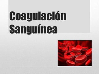 Coagulación
Sanguínea
 