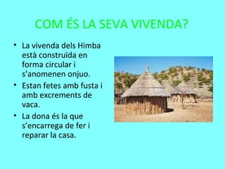 COM ÉS LA SEVA VIVENDA?
• La vivenda dels Himba
està construïda en
forma circular i
s’anomenen onjuo.
• Estan fetes amb fusta i
amb excrements de
vaca.
• La dona és la que
s’encarrega de fer i
reparar la casa.
 