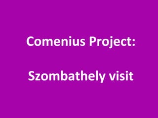 Comenius Project: Szombathely visit 