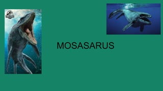 MOSASARUS