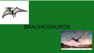 BRACHIOSAUROS