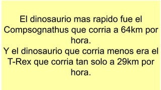 El dinosaurio mas rapido fue el
Compsognathus que corria a 64km por
hora.
Y el dinosaurio que corria menos era el
T-Rex que corria tan solo a 29km por
hora.