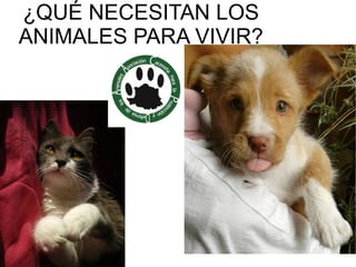 ¿QUÉ NECESITAN LOS
ANIMALES PARA VIVIR?
 