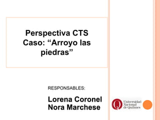 RESPONSABLES:
Lorena Coronel
Nora Marchese
Perspectiva CTS
Caso: “Arroyo las
piedras”
 