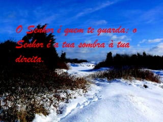 O Senhor é quem te guarda; oSenhor é a tua sombra à tua direita.