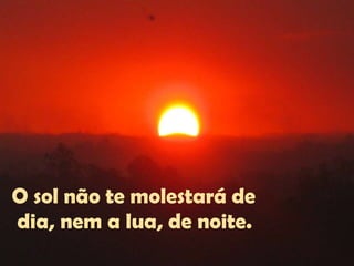 O sol não te molestará de  dia, nem a lua, de noite.