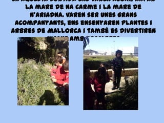 En aquesta sortida ens varen acompanyar
    la mare de na Carme i la mare de
     n’Ariadna. Varen ser unes grans
 acompanyants, ens ensenyaren plantes i
arbres de Mallorca i també es divertiren
          jugant amb nosaltres.
 