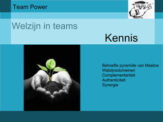 Team Power 
Welzijn in teams 
Kennis 
Behoefte pyramide van Maslow 
Welzijnsdomeinen 
Complementariteit 
Authenticiteit 
Synergie 
 
