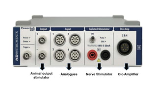 Analogues
Animal output
stimulator
Nerve Stimulator Bio Amplifier
 