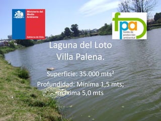 Laguna del Loto
Villa Palena.
Superficie: 35.000 mts²
Profundidad: Mínima 1,5 mts;
máxima 5,0 mts
 