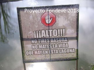 Proyecto Fondeve 2013
 