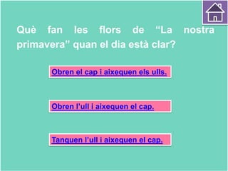 Què fan les flors de “La nostra
primavera” quan el dia està clar?
Obren el cap i aixequen els ulls.
Obren l’ull i aixequen el cap.
Tanquen l’ull i aixequen el cap.
 