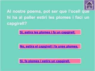 Al nostre poema, pot ser que l’ocell que
hi ha al paller estiri les plomes i faci un
capgirell?
Sí, estira les plomes i fa un capgirell.
Sí, fa plomes i estira un capgirell.
No, estira el capgirell i fa unes plomes.
 