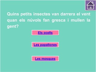 Quins petits insectes van darrera el vent
quan els núvols fan gresca i mullen la
gent?
Els ocells
Les papallones
Les mosques
 