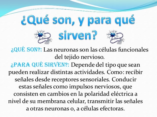 Power las neuronas