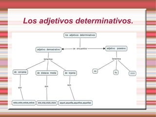 Los adjetivos determinativos.
 