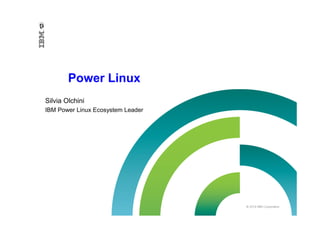 © 2014 IBM Corporation
Power Linux
Silvia Olchini
IBM Power Linux Ecosystem Leader
 