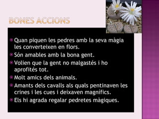 Quan piquen les pedres amb la seva màgia les converteixen en flors. Són amables amb la bona gent. Volien que la gent no malgastés i ho aprofités tot. Molt amics dels animals. Amants dels cavalls als quals pentinaven les crines i les cues i deixaven magnífics.  Els hi agrada regalar pedretes màgiques. 