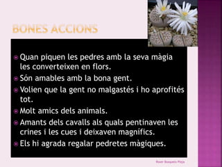  Quan piquen les pedres amb la seva màgia 
les converteixen en flors. 
 Són amables amb la bona gent. 
 Volien que la gent no malgastés i ho aprofités 
tot. 
 Molt amics dels animals. 
 Amants dels cavalls als quals pentinaven les 
crines i les cues i deixaven magnífics. 
 Els hi agrada regalar pedretes màgiques. 
Roser Busquets Plaja 
 