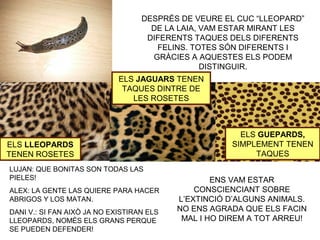DESPRÉS DE VEURE EL CUC “LLEOPARD”
DE LA LAIA, VAM ESTAR MIRANT LES
DIFERENTS TAQUES DELS DIFERENTS
FELINS. TOTES SÓN DIFERENTS I
GRÀCIES A AQUESTES ELS PODEM
DISTINGUIR.
ELS LLEOPARDS
TENEN ROSETES
ELS JAGUARS TENEN
TAQUES DINTRE DE
LES ROSETES
ELS GUEPARDS,
SIMPLEMENT TENEN
TAQUES
LUJAN: QUE BONITAS SON TODAS LAS
PIELES!
ALEX: LA GENTE LAS QUIERE PARA HACER
ABRIGOS Y LOS MATAN.
DANI V.: SI FAN AIXÒ JA NO EXISTIRAN ELS
LLEOPARDS, NOMÉS ELS GRANS PERQUE
SE PUEDEN DEFENDER!
ENS VAM ESTAR
CONSCIENCIANT SOBRE
L’EXTINCIÓ D’ALGUNS ANIMALS.
NO ENS AGRADA QUE ELS FACIN
MAL I HO DIREM A TOT ARREU!
 