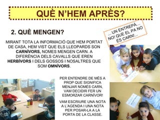 QUÈ N’HEM APRÈS?
2. QUÈ MENGEN?
MIRANT TOTA LA INFORMACIÓ QUE HEM PORTAT
DE CASA, HEM VIST QUE ELS LLEOPARDS SON
CARNÍVORS, NOMES MENGEN CARN. A
DIFERÈNCIA DELS CAVALLS QUE EREN
HERBÍVORS I DELS GOSSOS I NOSALTRES QUE
SOM OMNÍVORS.
PER ENTENDRE DE MÉS A
PROP QUE SIGNIFICA
MENJAR NOMÉS CARN,
VAM DECIDIR FER UN
ESMORZAR CARNÍVOR!
VAM ESCRIURE UNA NOTA
A L’AGENDA I UNA NOTA
PER POSAR-LA A LA
PORTA DE LA CLASSE.
... UN ENTREPÀ…
NO! QUE EL PA NO
ÉS CARN!...
 
