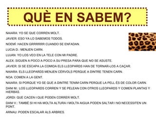 QUÈ EN SABEM?
NAIARA: YO SE QUE CORREN MOLT.
JAVIER: ESO YA LO SABEMOS TODOS.
NOEMÍ: HACEN GRRRRRR CUANDO SE ENFADAN.
LUCIA D.: MENJEN CARN.
LUJAN: YO LOS VEO EN LA TELE CON MI PADRE.
ALEX: SIGUEN A POCO A POCO A SU PRESA PARA QUE NO SE ASUSTE.
JAVIER: SI SE ESCAPA LA COMIDA ELS LLEOPARDS HAN DE TORNAR-LOS A CAÇAR.
NAIARA: ELS LLEOPARDS MENJEN CÈRVOLS PERQUE A DINTRE TENEN CARN.
NOA: COMEN A LA GENT.
NAIARA: SI PORQUE YO SE QUE A DINTRE TENIM CARN PERQUE LA PELL ÉS DE COLOR CARN.
DANI M.: LOS LLEOPARDS CORREN Y SE PELEAN CON OTROS LLEOPARDS Y COMEN PLANTAS Y
HIERBAS.
JORDI: QUE CACEN I QUE PODEN CORRER MOLT.
DANI V.: TAMBÉ SI HI HA MOLTA ALTURA I MOLTA AIGUA PODEN SALTAR I NO NECESSITEN UN
PONT.
ARNAU: PODEN ESCALAR ALS ARBRES.
 
