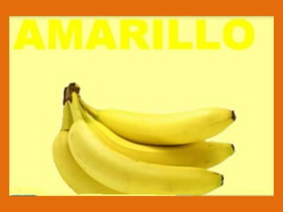 Power los colores con los chicos cano