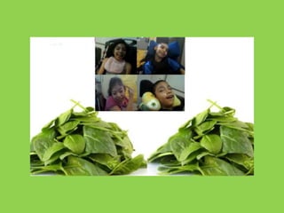 Power los colores con los chicos cano