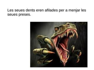 Les seues dents eren afilades per a menjar les
seues preses.
 