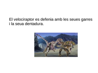 El velociraptor es defenia amb les seues garres
i la seua dentadura.
 