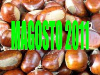 MAGOSTO 2011