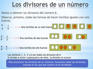 Vamos a obtener los divisores del número 6. 
Observa, primero, todas las formas de hacer tortillas iguales con seis 
huevos. 
6 1 
Seis tortillas de un solo huevo 
0 6 
6 
0 
2 
3 
Tres tortillas de dos huevos 
6 
0 
6 
1 
Una tortilla de seis huevos 
Los números 1, 2, 3 y 6 son todos los divisores de 6 
Si divides 6 entre cualesquiera de ellos, la división es exacta 
Para encontrar los divisores de un números, buscamos todas las divisiones 
exactas en las que ese número es el dividendo 
 