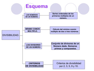 Esquema DIVISIBILIDAD. LOS NÚMEROS DE UN NÚMERO. MÍNIMO COMÚN MÚLTIPLO. LOS DIVISORES DE UN NÚMERO CRITERIOS DE DIVISIBILIDAD Series ordenadas de los  primeros múltiplos de un  número. Cálculo del mínimo común  múltiplo de dos o tres números. Conjunto de divisores de un  Número dado. Números  primos y compuestos. Criterios de divisibilidad por 2, 3, 5, 9 y 10. 