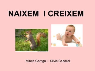 NAIXEM I CREIXEM
Mireia Garriga i Silvia Caballol
 