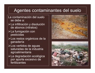 CONTAMINACION AMBIENTAL