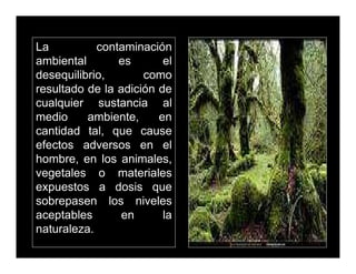 CONTAMINACION AMBIENTAL