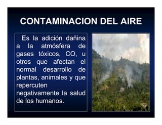 CONTAMINACION AMBIENTAL