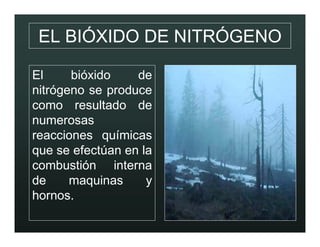 CONTAMINACION AMBIENTAL
