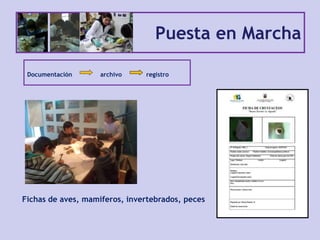 Documentación archivo registro
Puesta en Marcha
Fichas de aves, mamíferos, invertebrados, peces
 
