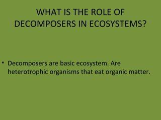 WHAT IS THE ROLE OF
DECOMPOSERS IN ECOSYSTEMS?
• Decomposers are basic ecosystem. Are
heterotrophic organisms that eat organic matter.