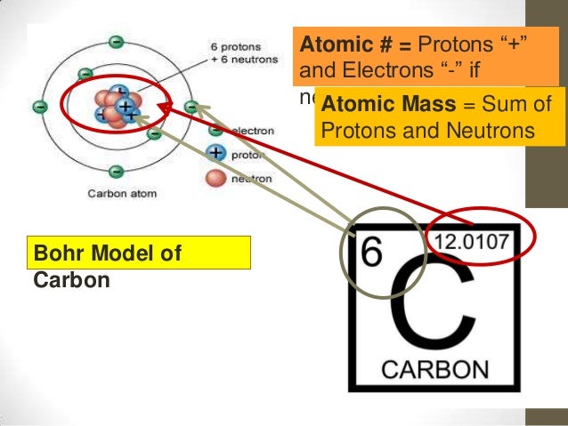 atom of carbon bohr model atom of carbon bohr model