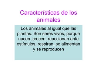 Características de los
       animales
  Los animales al igual que las
plantas. Son seres vivos, porque
 nacen ,crecen, reaccionan ante
estímulos, respiran, se alimentan
         y se reproducen
 