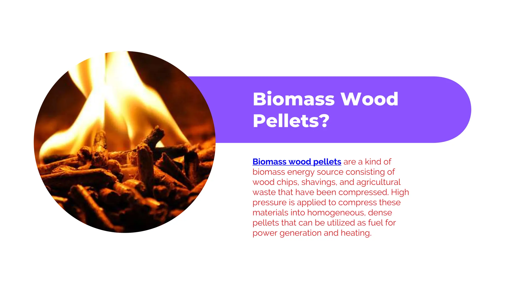 The Power of Biomass Wood Pellets energy | PPTX
