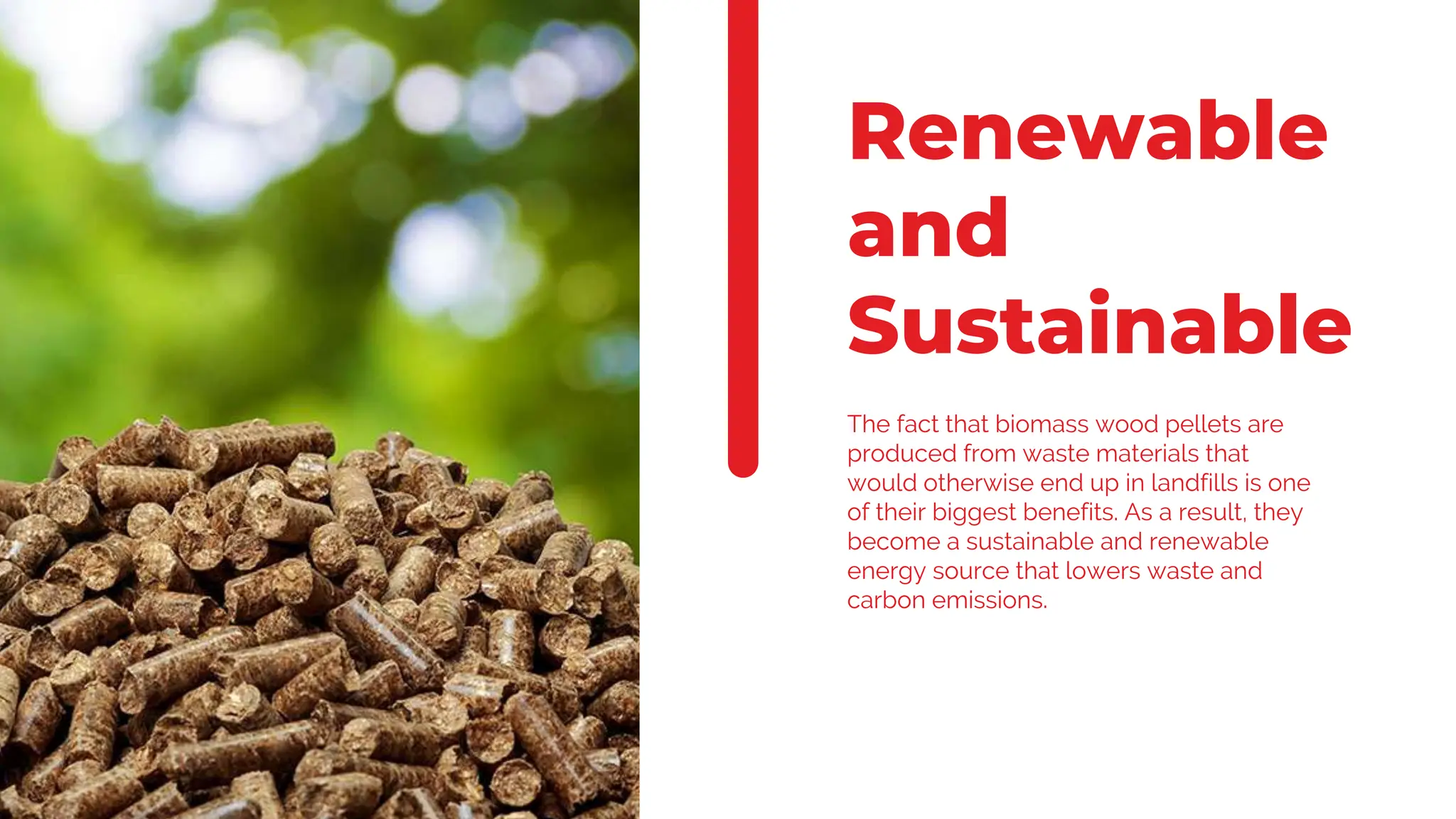 The Power of Biomass Wood Pellets energy | PPTX