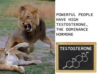 POWERFUL PEOPLE
HAVE HIGH
TESTOSTERONE,
THE DOMINANCE
HORMONE
 