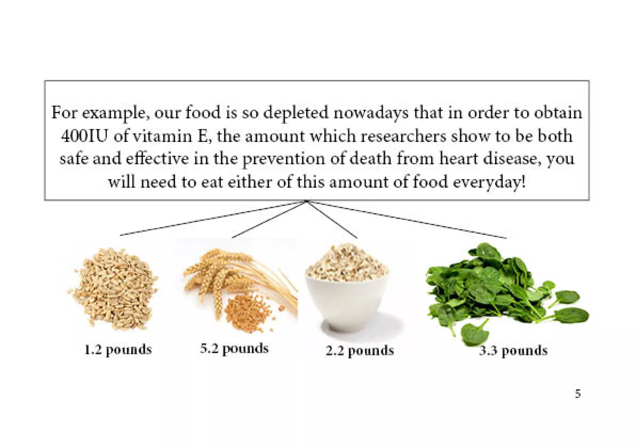 Power of cellular nutrition